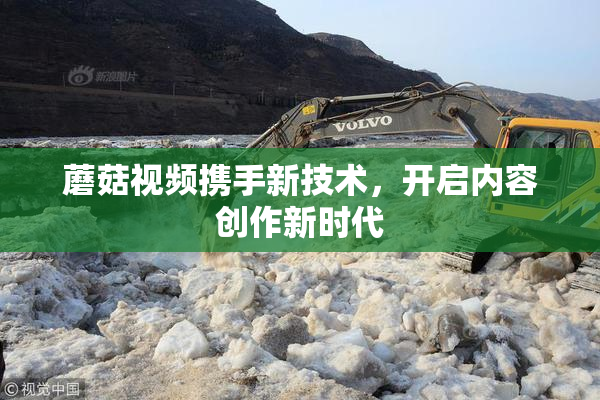 蘑菇视频携手新技术，开启内容创作新时代