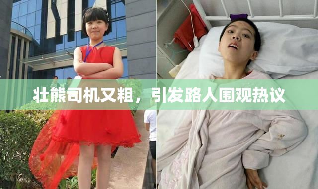 壮熊司机又粗，引发路人围观热议