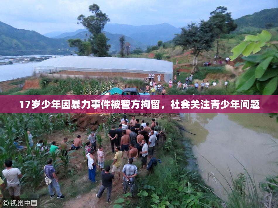 17岁少年因暴力事件被警方拘留，社会关注青少年问题