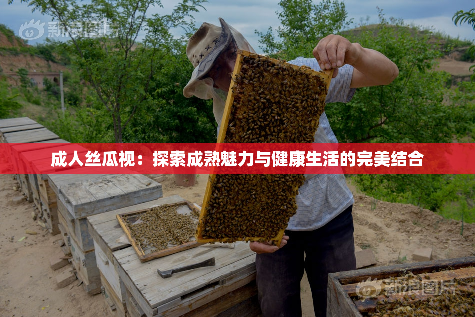 成人丝瓜视：探索成熟魅力与健康生活的完美结合