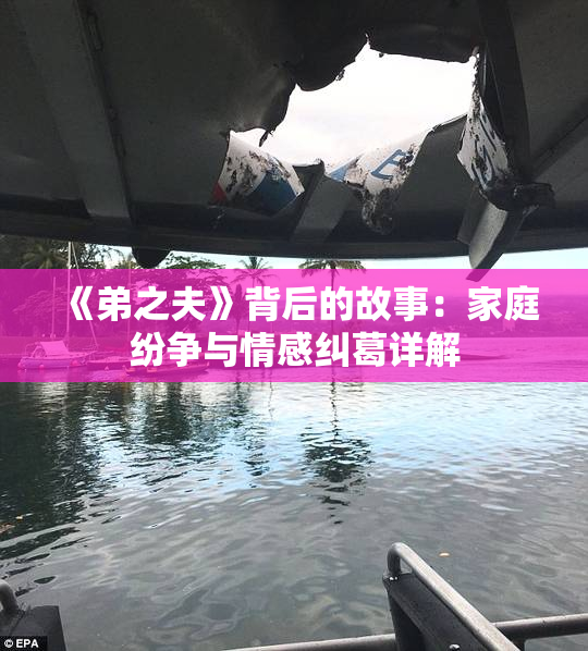 《弟之夫》背后的故事：家庭纷争与情感纠葛详解