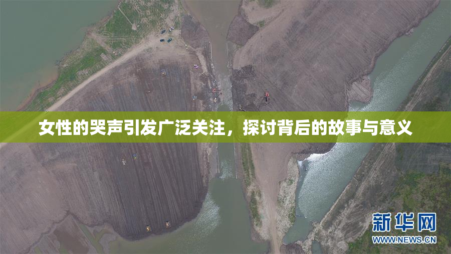 女性的哭声引发广泛关注，探讨背后的故事与意义