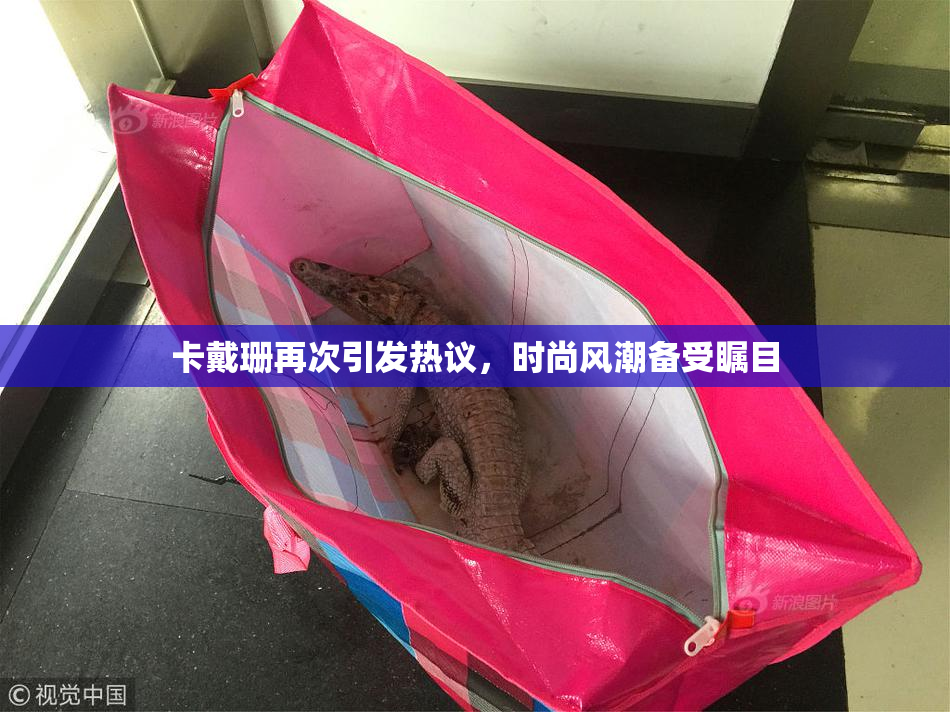卡戴珊再次引发热议，时尚风潮备受瞩目
