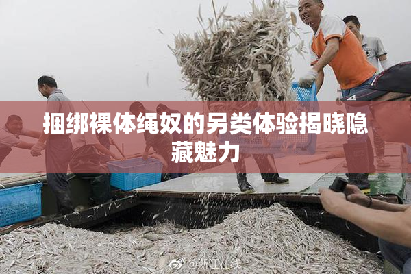 捆绑裸体绳奴的另类体验揭晓隐藏魅力