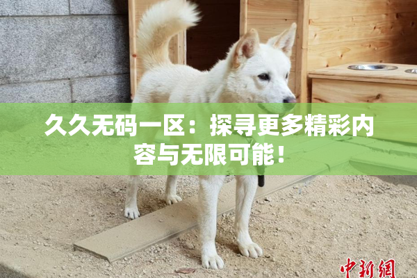 久久无码一区：探寻更多精彩内容与无限可能！