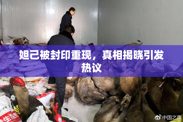 妲己被封印重现，真相揭晓引发热议