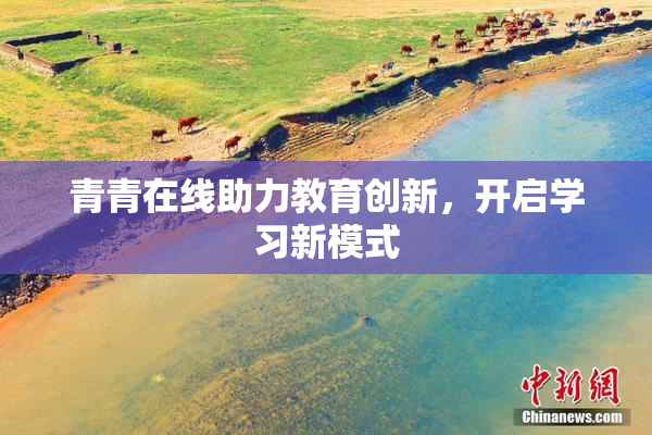 青青在线助力教育创新，开启学习新模式