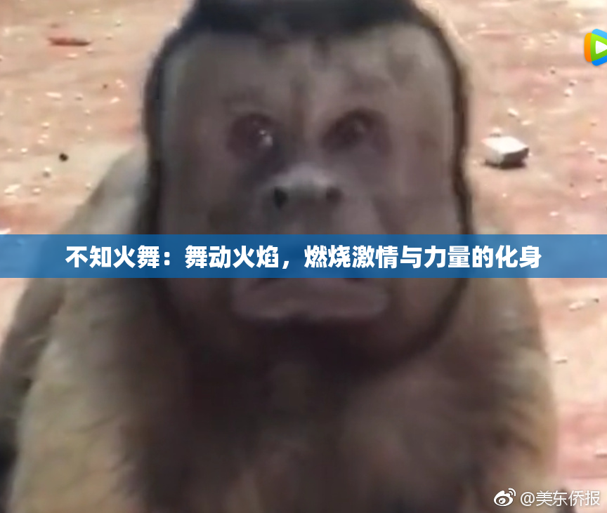 不知火舞：舞动火焰，燃烧激情与力量的化身
