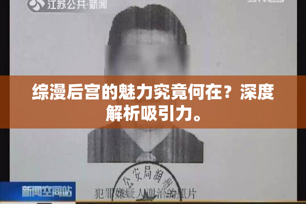 综漫后宫的魅力究竟何在？深度解析吸引力。