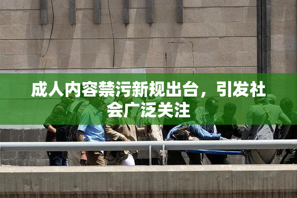 成人内容禁污新规出台，引发社会广泛关注