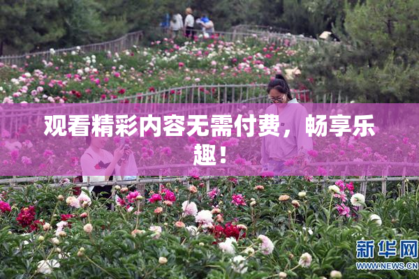 观看精彩内容无需付费，畅享乐趣！