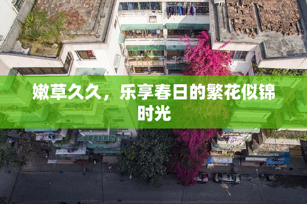 嫩草久久，乐享春日的繁花似锦时光