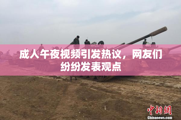 成人午夜视频引发热议，网友们纷纷发表观点