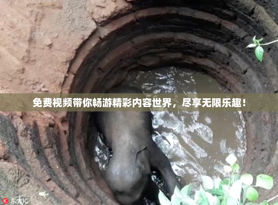 免费视频带你畅游精彩内容世界，尽享无限乐趣！
