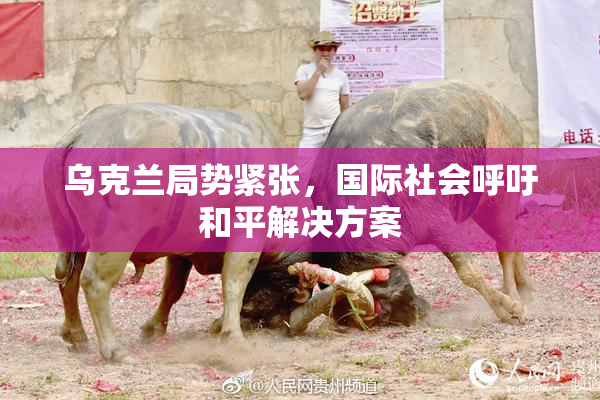 乌克兰局势紧张，国际社会呼吁和平解决方案