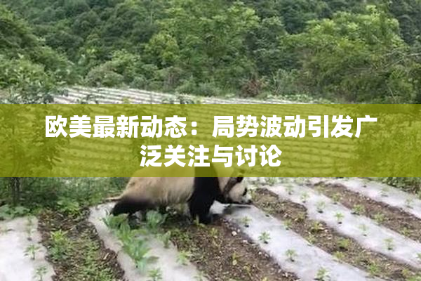 欧美最新动态：局势波动引发广泛关注与讨论
