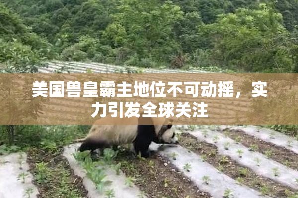 美国兽皇霸主地位不可动摇，实力引发全球关注