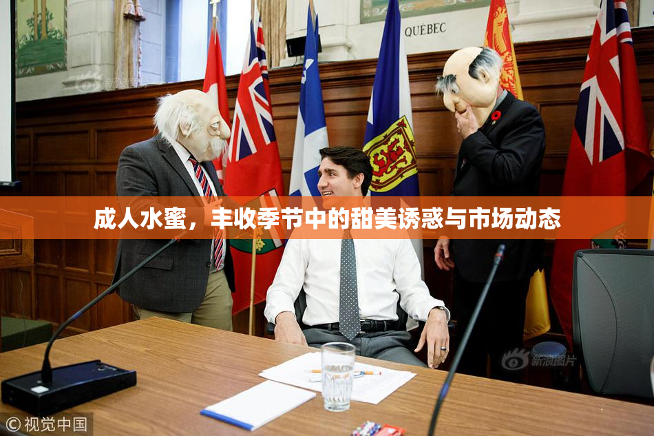 成人水蜜，丰收季节中的甜美诱惑与市场动态