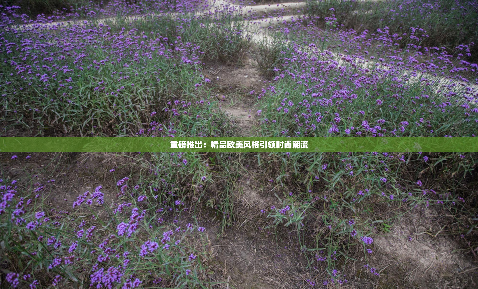 重磅推出：精品欧美风格引领时尚潮流