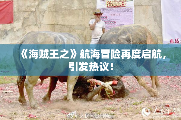《海贼王之》航海冒险再度启航，引发热议！