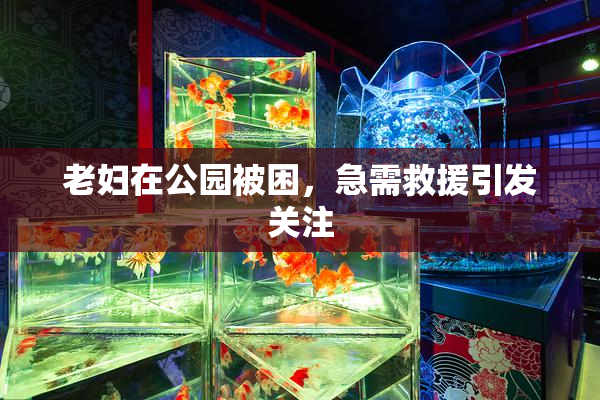 老妇在公园被困，急需救援引发关注