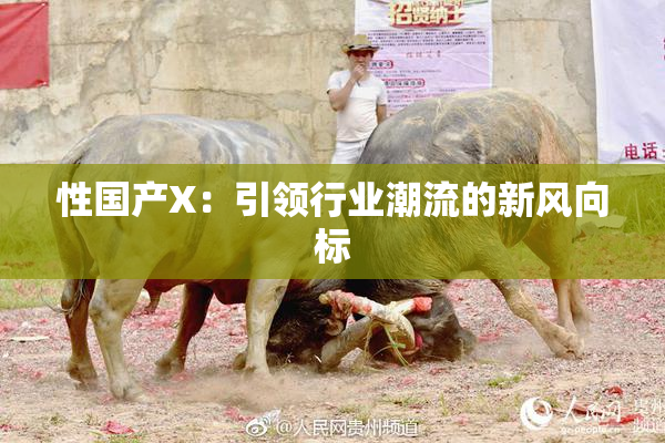 性国产X：引领行业潮流的新风向标