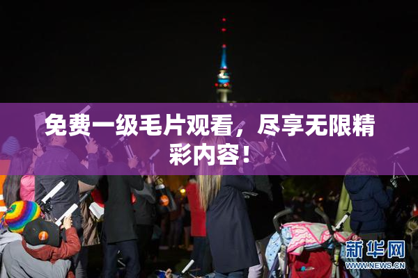 免费一级毛片观看，尽享无限精彩内容！