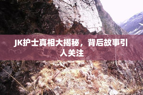 JK护士真相大揭秘，背后故事引人关注