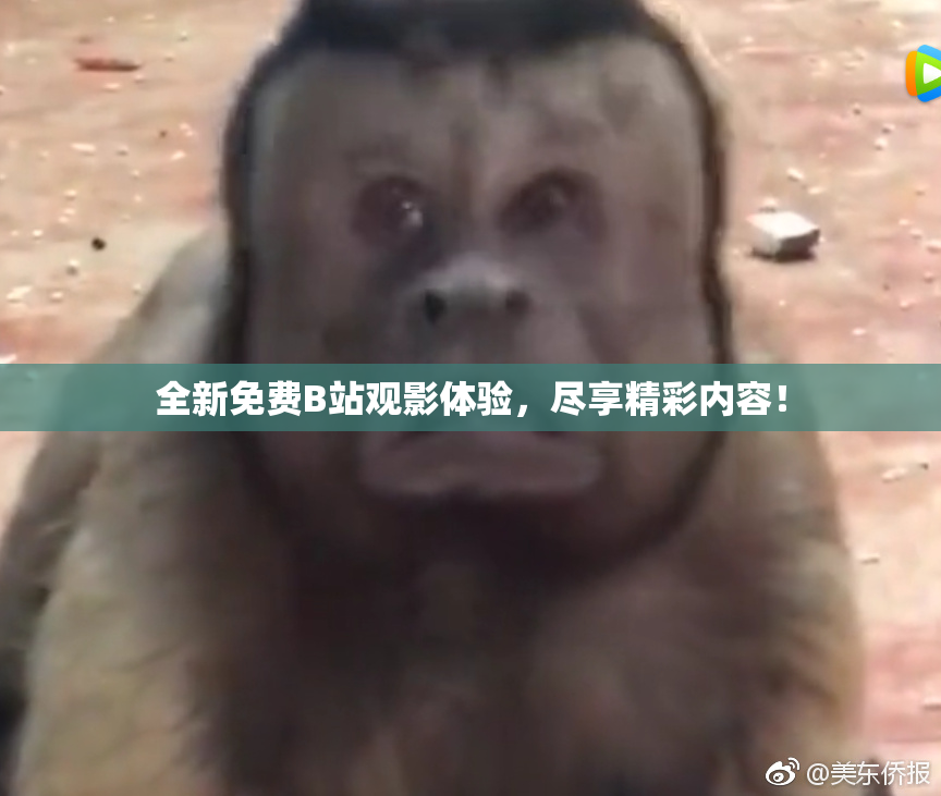 全新免费B站观影体验，尽享精彩内容！