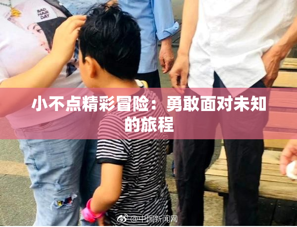 小不点精彩冒险：勇敢面对未知的旅程