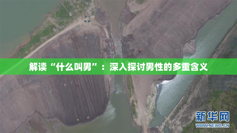 解读“什么叫男”：深入探讨男性的多重含义