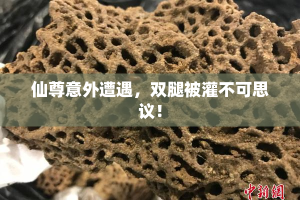 仙尊意外遭遇，双腿被灌不可思议！
