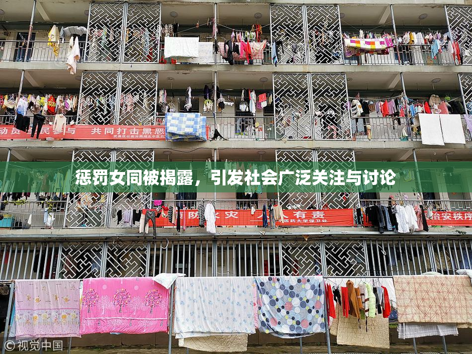 惩罚女同被揭露，引发社会广泛关注与讨论