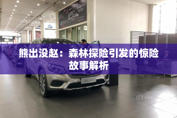 熊出没赵：森林探险引发的惊险故事解析