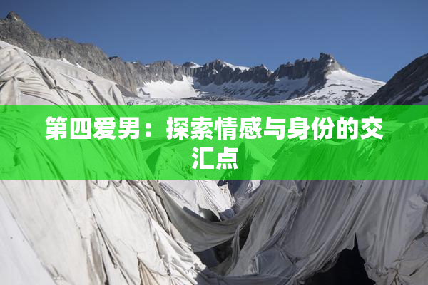 第四爱男：探索情感与身份的交汇点