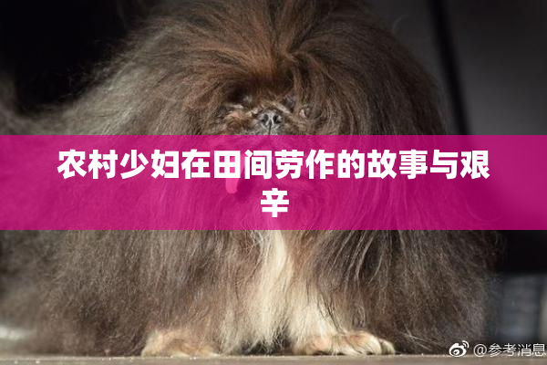 农村少妇在田间劳作的故事与艰辛