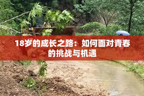 18岁的成长之路：如何面对青春的挑战与机遇