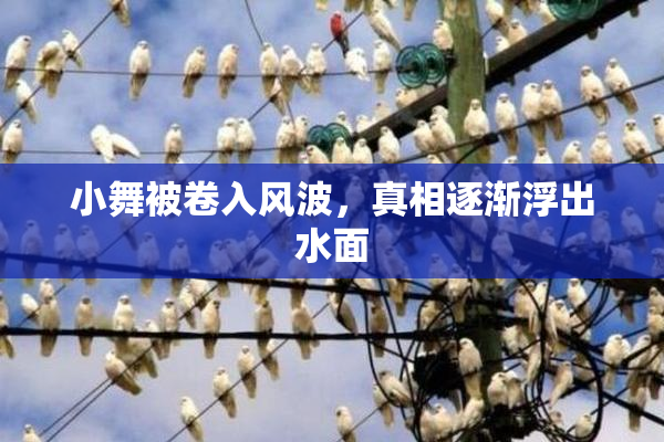 小舞被卷入风波，真相逐渐浮出水面