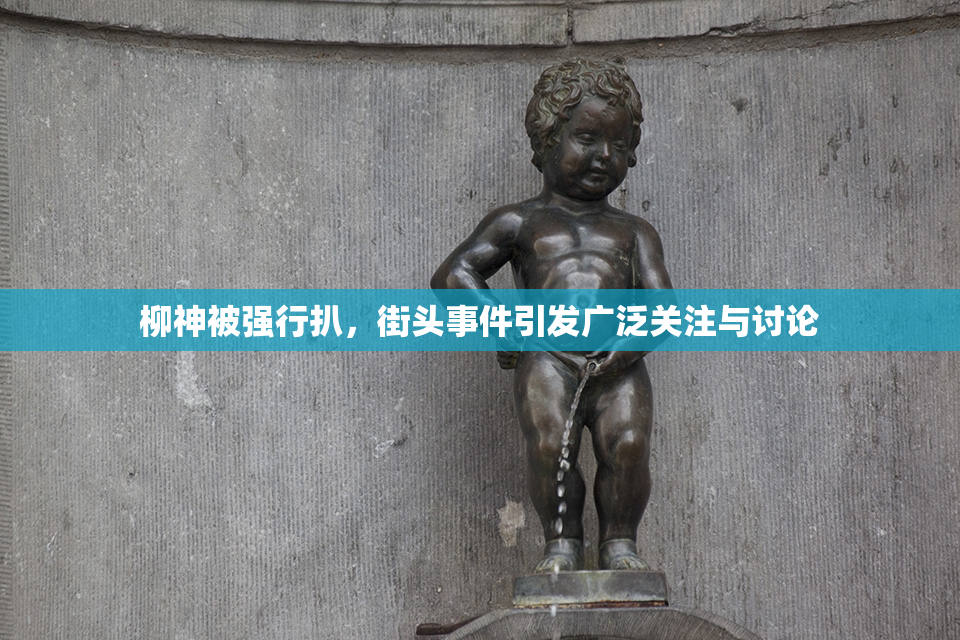 柳神被强行扒，街头事件引发广泛关注与讨论
