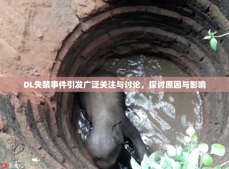DL失禁事件引发广泛关注与讨论，探讨原因与影响