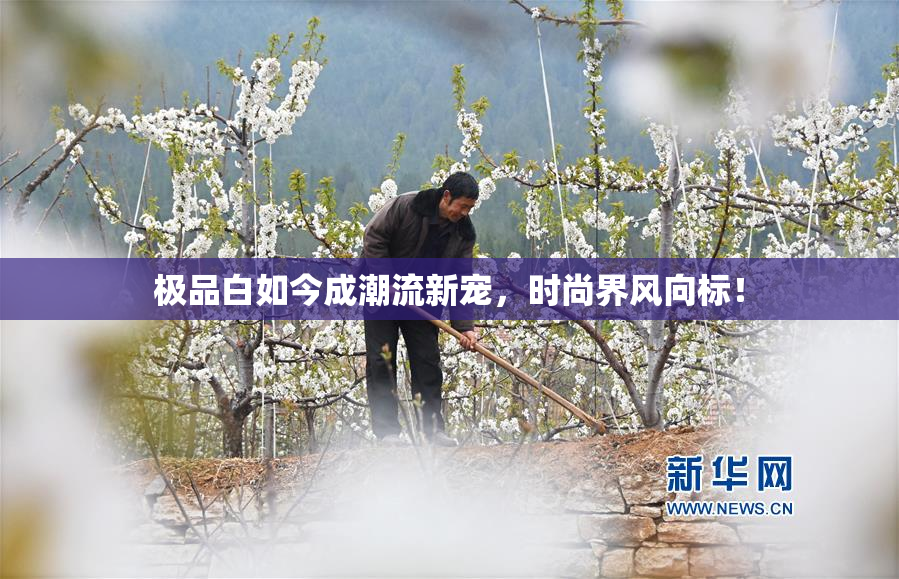 极品白如今成潮流新宠，时尚界风向标！
