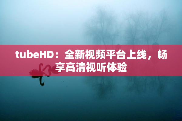 tubeHD：全新视频平台上线，畅享高清视听体验