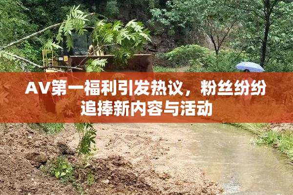 AV第一福利引发热议，粉丝纷纷追捧新内容与活动
