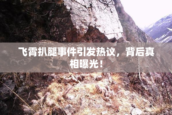 飞霄扒腿事件引发热议，背后真相曝光！