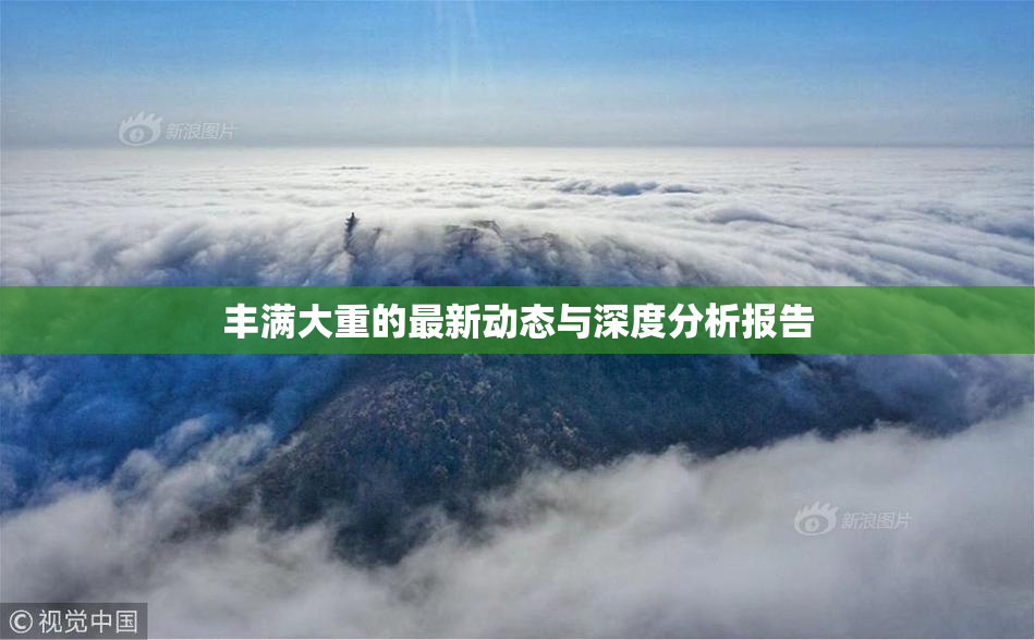 丰满大重的最新动态与深度分析报告