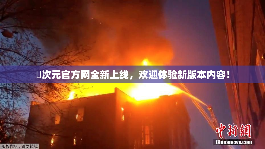 囧次元官方网全新上线，欢迎体验新版本内容！