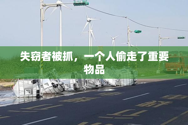 失窃者被抓，一个人偷走了重要物品