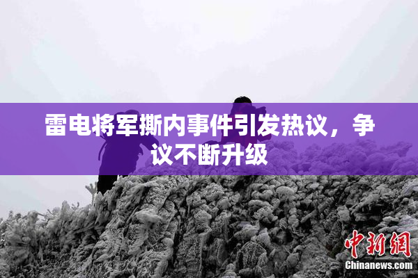 雷电将军撕内事件引发热议，争议不断升级