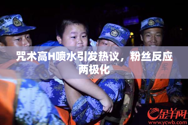 咒术高H喷水引发热议，粉丝反应两极化