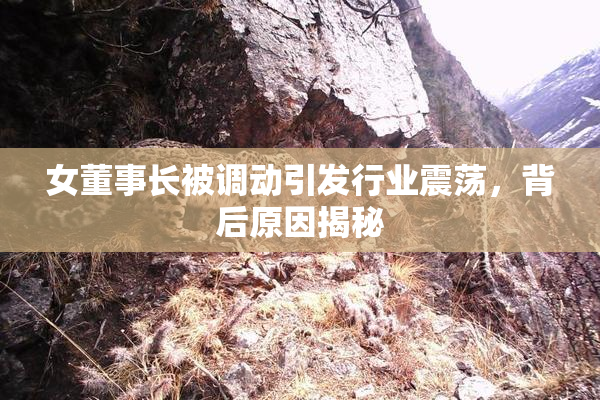 女董事长被调动引发行业震荡，背后原因揭秘